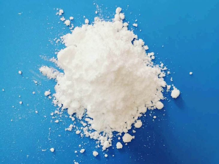 LUTUBE在线观看入口镧对棕榈科植物的影响